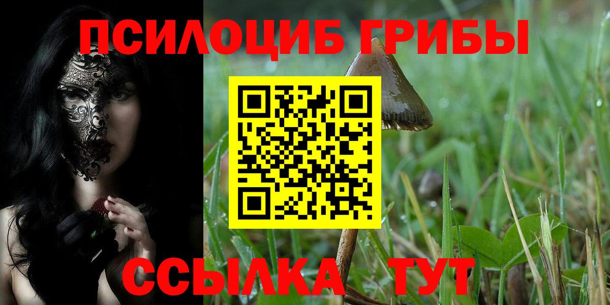 Псилоцибиновые грибы прущие грибы  Вход с VPN  Сегежа 